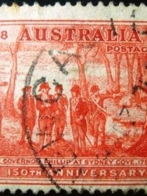 Imagem do produto ofertado - Se desejar peça mais detalhes