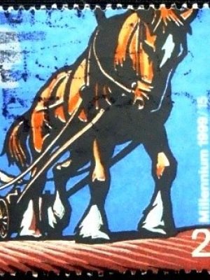 Selo postal do Reino Unido de 1999 Horse-drawn Rotary Seed Drill