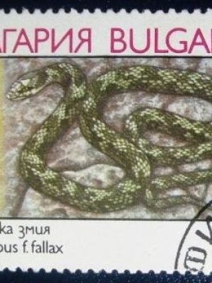 Selo postal da Bulgária de 1989 European Cat Snake NCC