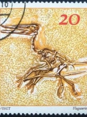 Selo postal da Alemanha Oriental de 1973 Pterodactylus kochi