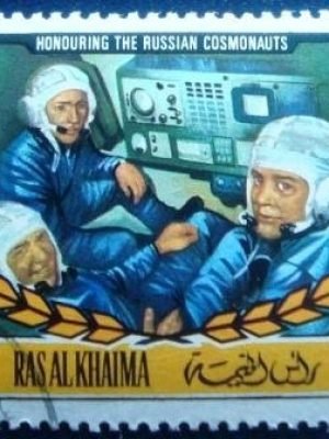 Imagem do produto ofertado - Se desejar peça mais detalhes