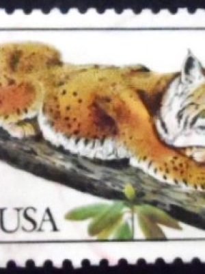 Selo postal dos Estados Unidos de 1990 Bobcat