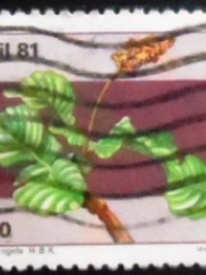 Selo postal do Brasil de 1981 Pslicourea