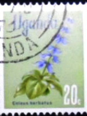 Selo postal da Uganda de 1969 Indian Coleus