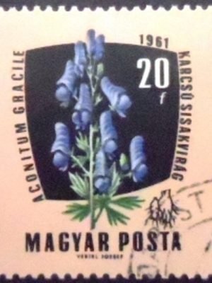 Selo postal da Hungria de 1961 European Monkshood U A