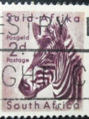 Selo postal da África do Sul de 1954 Mountain Zebra