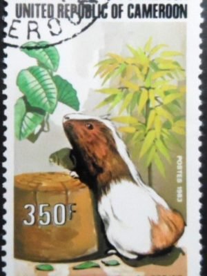Selo postal de Camarões de 1983 Guinea Pig