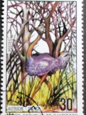 Selo postal de Camarões de 1977 North African Ostrich