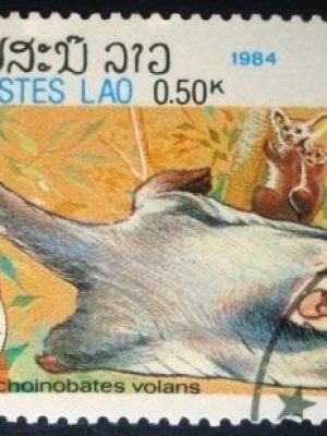 Selo postal comemoraitvo de Lais de 1984 Greater Glider