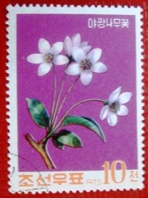 selo postal comemorativo da Coreia do Noirte de 1975 - Wild apple