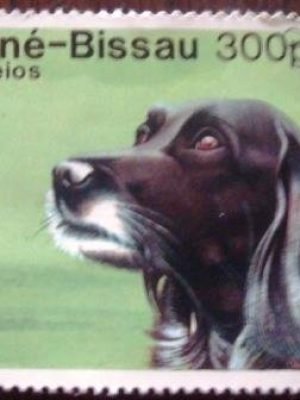 Selo postal comemorativo Guine Bissau 1988 Small Munsterlander