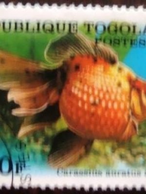 Selo postal do Togo de 1999 Comet-tailed Goldfish NCC