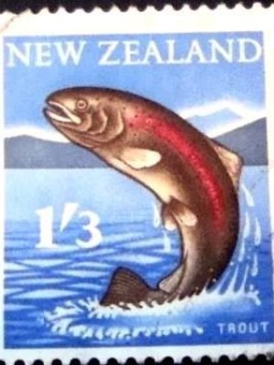 Selo postal da Nova Zelândia de 1960 Rainbow Trout