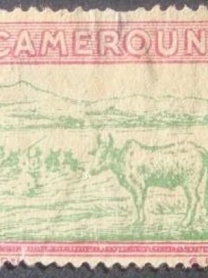 Selo postal Definitivo de Camarões Cattle Crossing a River - 1925